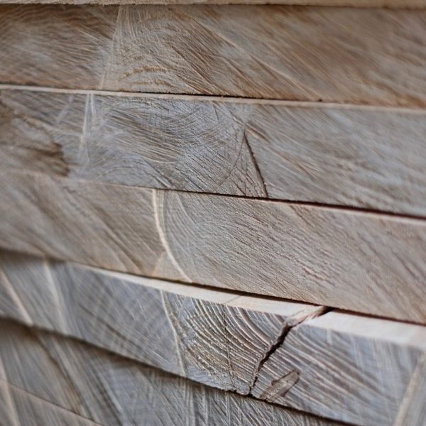 Tarcica-sucha-jesion